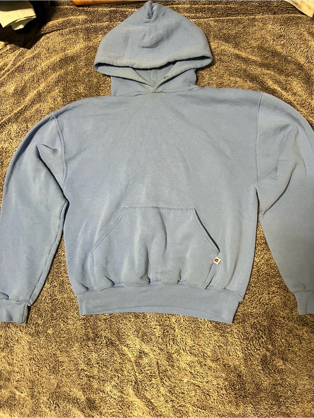 Vintage Powder blue Russel hoodie